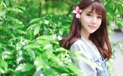 野花日本免费完整版高清版直播